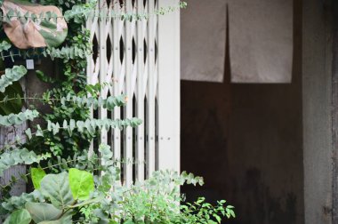 Solda yuvarlak yapraklı okaliptüslerle çevrili, solda ve sağda beyaz bir Japon noreniyle süslenmiş, sadelik ve zarafetin bir karışımını çağrıştıran huzurlu bir bahçe girişi..