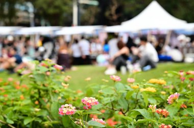Huashan Kültür Parkı 'nda yer alan Huashan Çayırı piknik yapmak, dinlenmek ve Taipei' nin hareketli şehir merkezinde hafta sonu yaratıcı pazarları için mükemmel bir yeşil alandır..