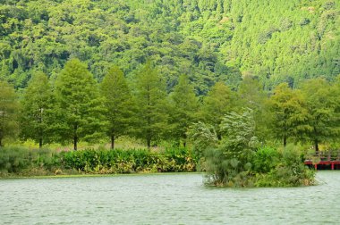 Doğal olarak bir heyelan sonucu oluşan Wanglongpi Gölü, gök mavisi gökyüzünü ve çevresindeki yeşilliği yansıtır ve mükemmel bir manzara yaratır..