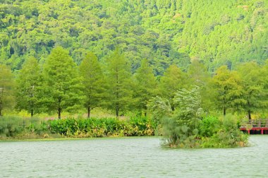 Doğal olarak bir heyelan sonucu oluşan Wanglongpi Gölü, gök mavisi gökyüzünü ve çevresindeki yeşilliği yansıtır ve mükemmel bir manzara yaratır..