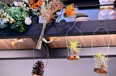 Havada asılı kalan hava santralleri, iç mekanlara biraz zarafet katıyor. Minimum bakım ihtiyaçları ve eşsiz tasarımı onları ev ve mağaza dekorasyonu için favori yapıyor..