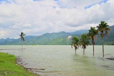 Tsengwen Barajı su basmış bitki örtüsüyle tayfundan sonra yüksek su seviyesini gösteriyor. Çamurlu su ve sisli dağlarla Tayvan 'ın en büyük rezervuarı..