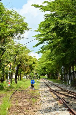 Chiayi Şeker Fabrikası 'nda yeşil ağaçlarla çevrili manzaralı tren yolu. İzler mesafeye kadar uzanıyor ve klasik bir kırsal cazibeyle barışçıl ve doğal bir atmosfer yaratıyor..