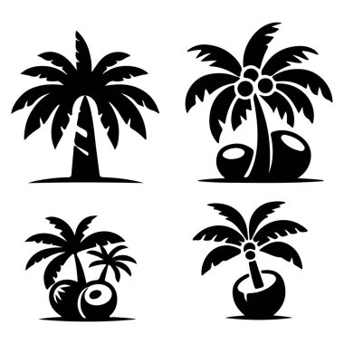 Tall, tropical tree with large, versatile nuts and feathery leaves. clipart