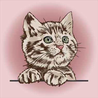 Katmanlarla renklendirilmiş sevimli kedi yavrusu