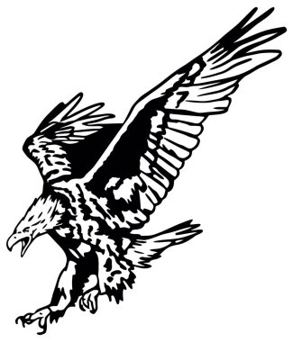 Uçan Amerikan Kel Kartalı siyah beyaz vektör çizimi