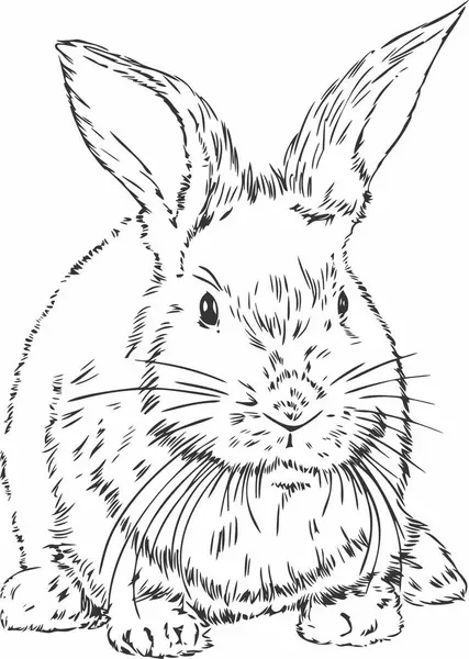 Tavşan siyah beyaz ana hatlı vektör çizimi