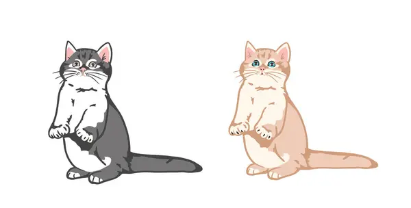 Renkleri katmanlarla ayrılmış şirin bir kedi.