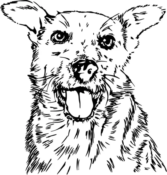 Siyah-beyaz bir köpeğin siyah-beyaz vektör çizimi