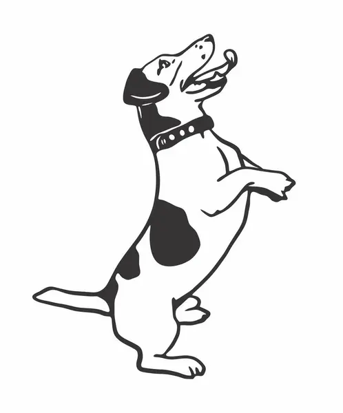 Arka bacaklarında duran sevimli küçük köpek siyah-beyaz vektör çizimi