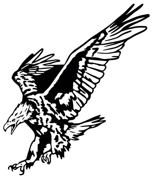 Uçan Amerikan Kel Kartalı siyah beyaz vektör çizimi