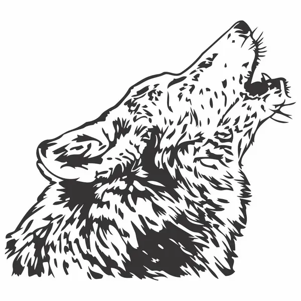 Vahşi kurt uluyan vektör görüntüsü