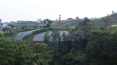 Tepedeki evlerin manzarası..