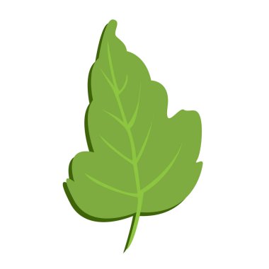 Tropik yapraklar ve soyut egzotik bitki taşıyıcısı. Yaprak vektörü 2d düz beyaz arkaplan