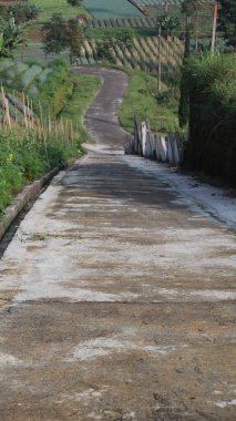 Highland bölgesinde tarlaların yanına türetilmiş yol döküm