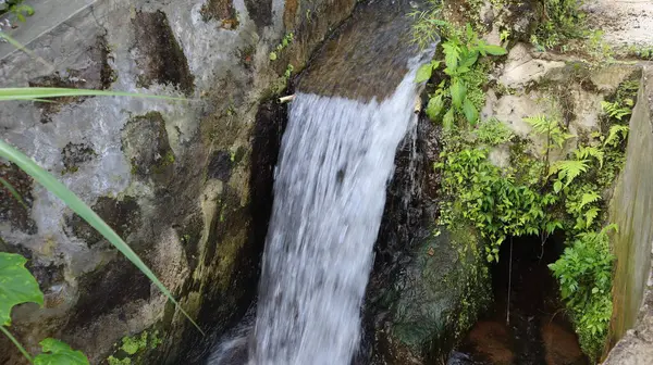 Küçük şelale, şelale. Çok doğal. Su hareket halinde.