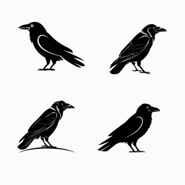 Vektör İllüstrasyonlu karga silueti.