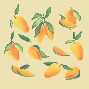 Mango paketleme tasarım şablonları, elle çizilmiş biçim vektör çizimi.