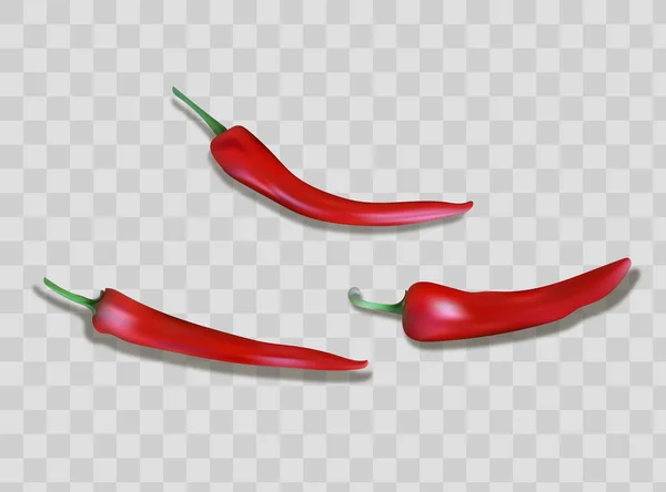 Red Hot Natural Chili Pepper Pod Realistic Image Shadow Vector — Stock Vector