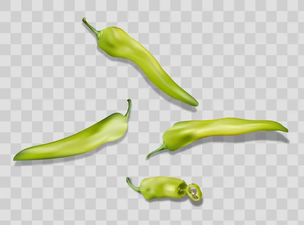 Πράσινες Πιπεριές Τσίλι Διαφανές Φόντο Ζεστό Πικάντικο Φρούτα Μπαχαρικά Τρόφιμα — Διανυσματικό Αρχείο