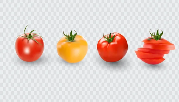 Zestaw Pomidor Kolekcja Czerwony Pomidor Fotorealistyczne Wektor Pomidory Przezroczystym Tle — Wektor stockowy