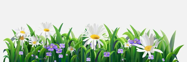 Bandiera Orizzontale Senza Cuciture Decorata Con Fiori Foglie Fiore Primavera — Vettoriale Stock