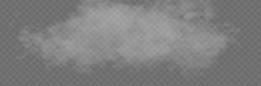 Şeffaf özel efekt sis veya duman ile dikkat çekiyor. Beyaz bulut vektör
