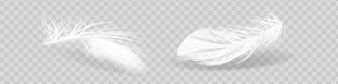 Vektör 3d Gerçekçi Değişken Düşen Beyaz Yumuşak Yumuşak Yumuşak Kıvrık Tüylü Yakın plan Arkaplanda İzole