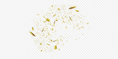 Altın konfeti. Vektör şenlikli illüstrasyon izole şeffaf damalı zemin üzerine düşen parlak konfeti. Tatil dekoratif Tinsel unsur tasarımı için