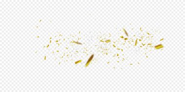 Altın konfeti. Vektör şenlikli illüstrasyon izole şeffaf damalı zemin üzerine düşen parlak konfeti. Tatil dekoratif Tinsel unsur tasarımı için