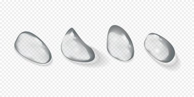 Saf berrak su damlaları izole edilmiş vektör çizimi