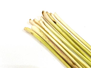 Beyaz arka planda izole edilmiş taze limon çimi bitkisi grubu