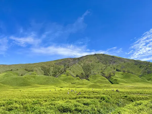 stock image Beautiful panoramic Bromo Mountain view with rock landscape, clear blue sky and green meadow field 