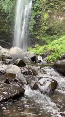 Arka planda şelaleli kaya manzaralı nehir suyunun dikey videosu 