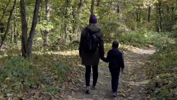 Μια Γυναίκα Ένα Μικρό Αγόρι Περπατά Μέσα Στο Φθινοπωρινό Δάσος — Αρχείο Βίντεο