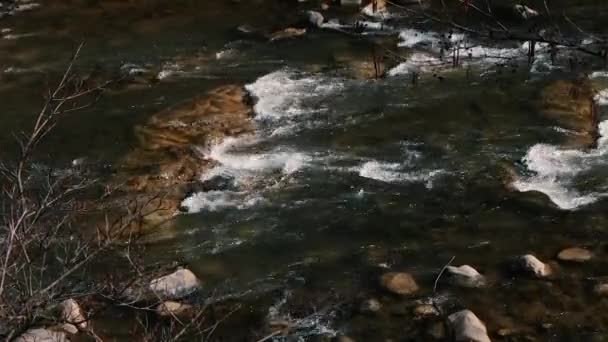 Fast Flow Water Mountain River Beautiful Mountain River Brown Stones — Stock video