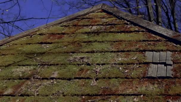 Piękny Mech Drewnianym Dachu Promienie Słońca Oświetlają Dach Pokryty Zielonym — Wideo stockowe