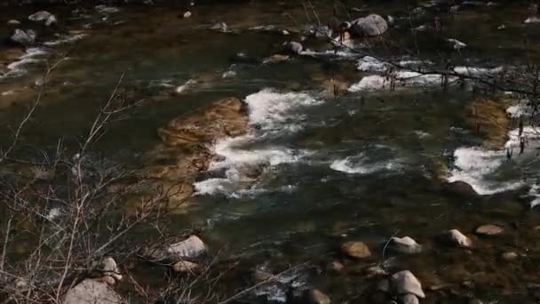 Fast Flow Water Mountain River Beautiful Mountain River Brown Stones — Stock videók