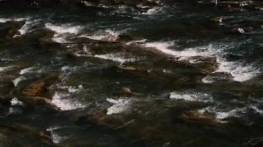 Fast flow of water on a mountain river. Beautiful mountain river. Brown stones are visible in the transparent mountain river.