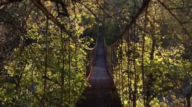 Nehrin üzerinde asılı demir köprü boyunca yürü. Demir asma köprü sallanıyor. Köprünün altından bir nehir akıyor. Nehrin diğer tarafındaki sonbahar ormanı. Aydınlığın ışıkları, akşam