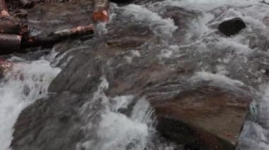 The water flows beautifully over the rocks. Mountain river. Beautiful little waterfalls. Beautiful streams and small waterfalls near the big Carpathian waterfall Shypit. 