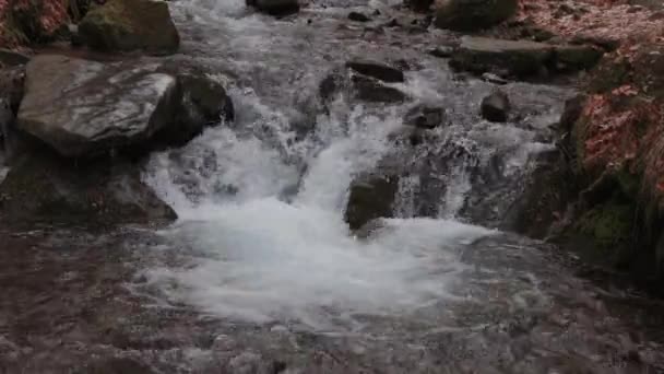 水美丽地流过岩石 漂亮的小瀑布喀尔巴阡山瀑布附近美丽的溪流和小瀑布 — 图库视频影像
