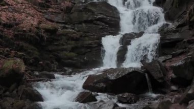 Landscape of waterfall Shypit in the Ukrainian Carpathian Mountains. The water flows beautifully over the rocks. Mountain river. Beautiful big waterfall in the mountains.