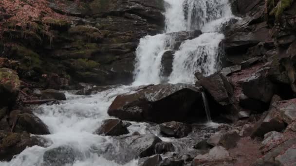 Landscape Waterfall Shypit Ukrainian Carpathian Mountains Water Flows Beautifully Rocks — Vídeo de stock
