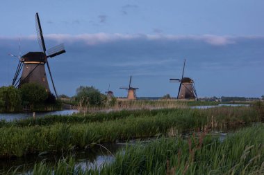 Hollanda 'nın Kinderdijk köyünde günbatımında güzel ahşap yel değirmenleri. Rüzgar değirmenleri esiyor. Güzel Hollanda kanalları suyla doludur. Güzel gün batımı.