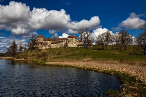 Smukke Landskab Fotografering Svirzh Slot Smukt Forårslandskab Med Fæstning Ukraine - Stock-foto