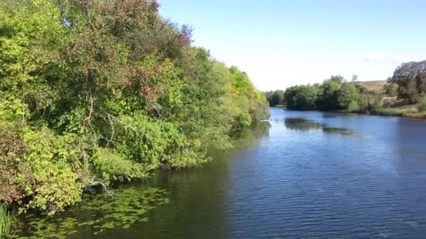 Nehir Ormanla Güzel Bir Manzara Ağaçlar Yeşil Yapraklarla Kaplı Güzel — Stok video