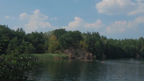 夏の美しい湖 遠くの人が湖で泳いでいる 海岸全体が緑の葉で覆われている 美しい石のビーチ 夏の日に川を渡る — ストック動画