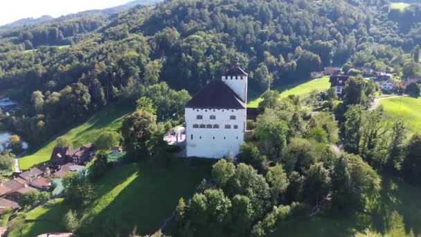 从山顶到Werdenberg城堡的美丽景色 从无人机 四合院到瑞士沃登贝格市中世纪城堡的视野 全市和全市的头像 — 图库视频影像