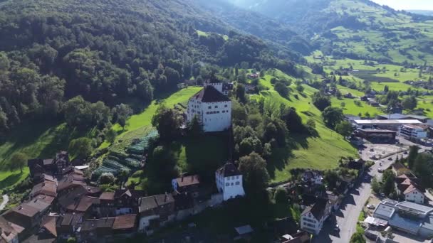 Werdenberg Kalesi Nin Güzel Manzarası Nsansız Hava Aracından Kuadrokopterden Sviçre — Stok video